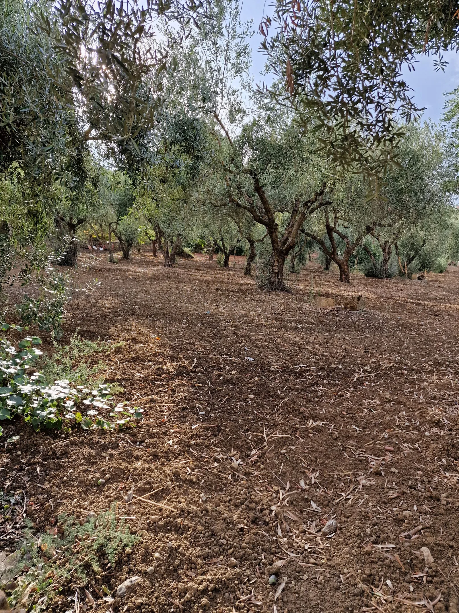 Splendida villa in vendita in zona tranquilla