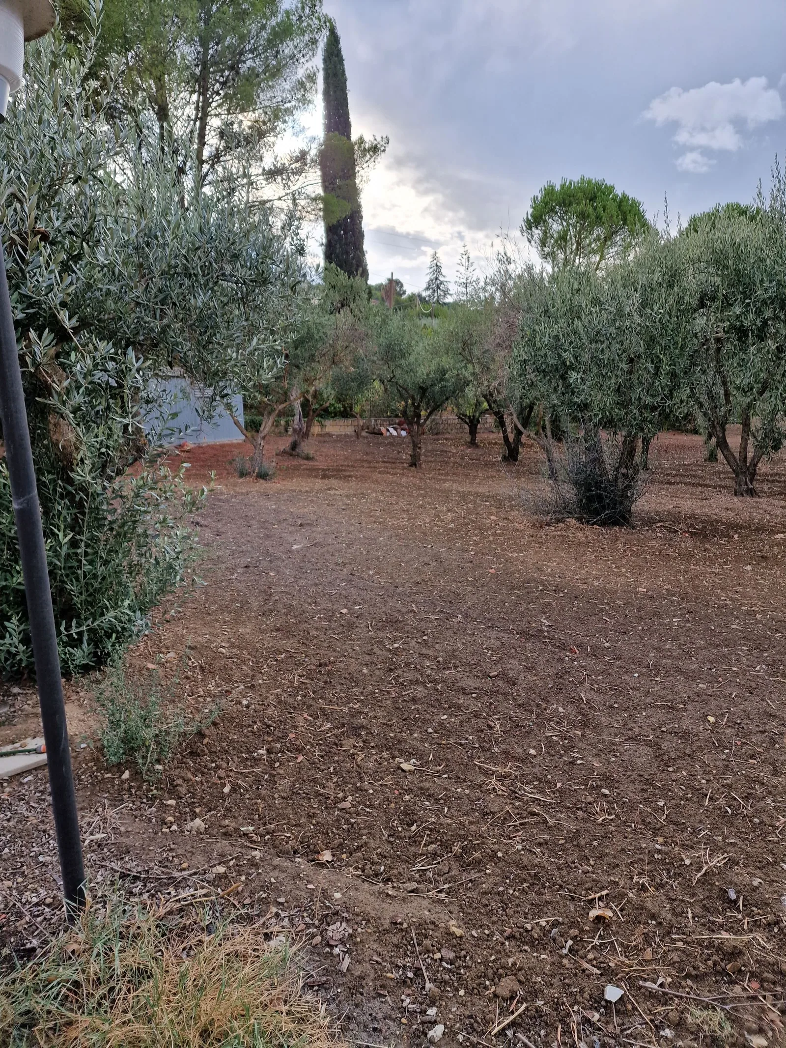 Splendida villa in vendita in zona tranquilla